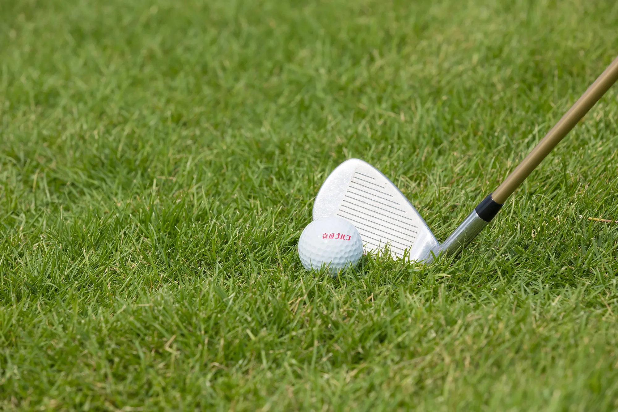 ゴルフイメージ